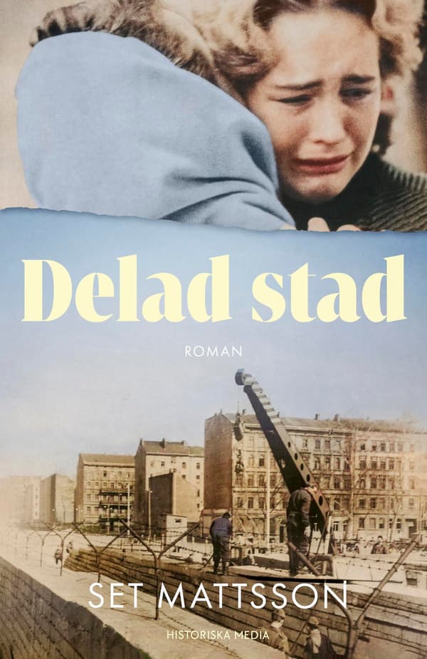 Delad Stad (Bok / Inbunden)
