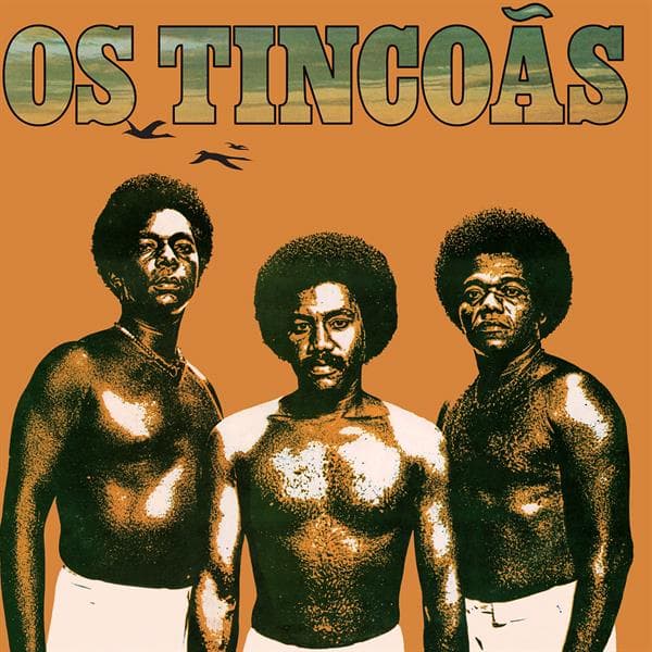 Os Tincoas: Os Tincoas (Vinyl LP)
