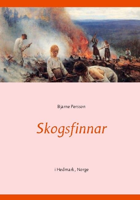 Skogsfinnar - I Hedmark, Norge (Bok / Häftad)