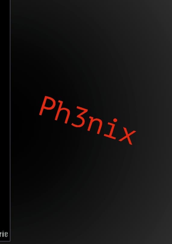 Ph3nix (Kirja / Nidottu)