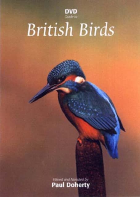 British Birds (3 DVD)