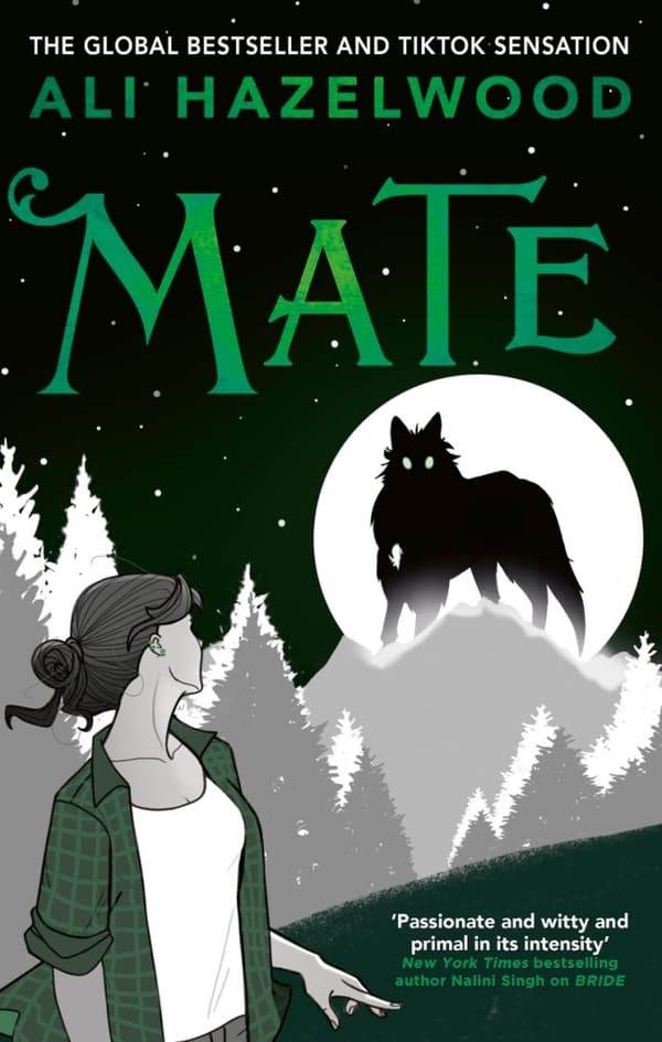 Mate (Bok / Pocket)