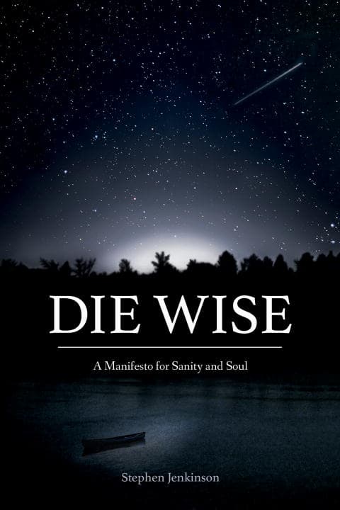 Die Wise (Kirja / Nidottu)