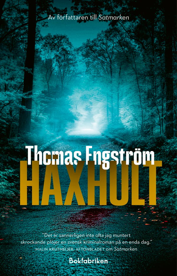 Häxhult (Bok / Pocket)