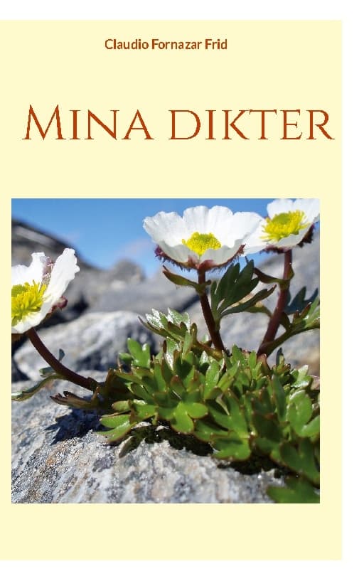 Runoni (Kirja / Kovakantinen)