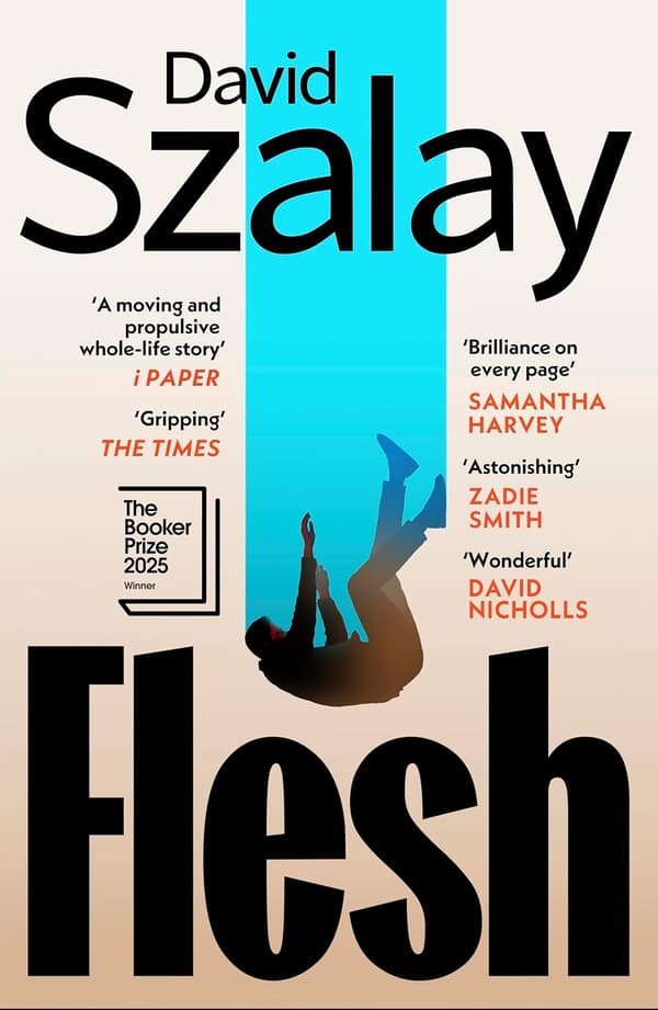Flesh (Bok / Pocket)