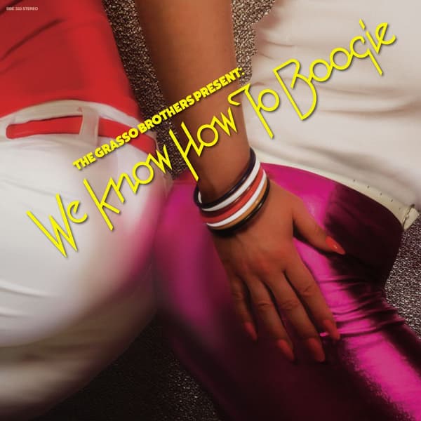 We Know How To Boogie (2 vinyyli-LP)