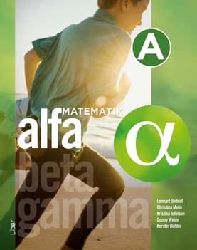 Matematik Alfa A-Boken (Bok / Häftad)