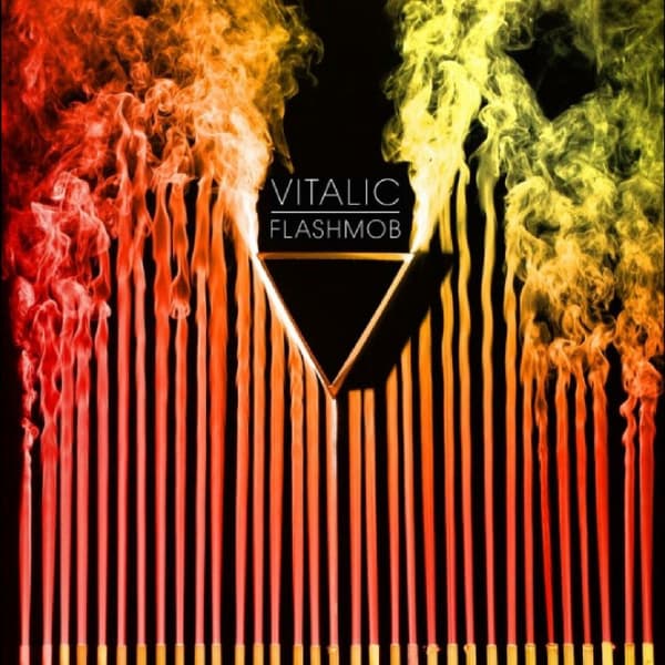 Vitalic: Flashmob (2 vinyyli-LP)