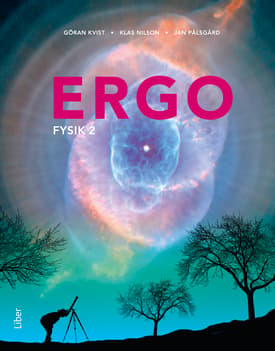 Ergo Fysik 2 (Bok / Häftad)