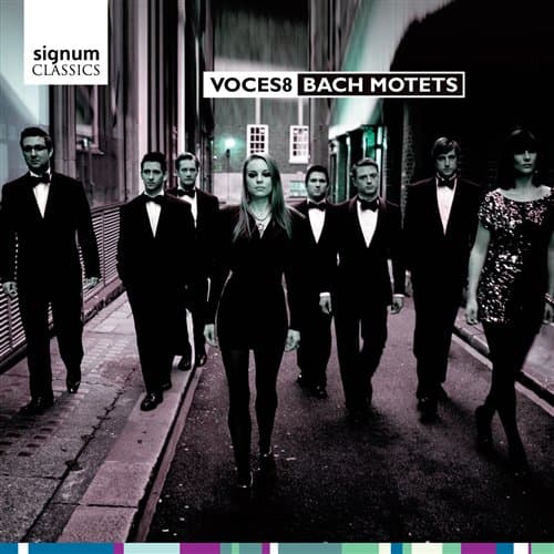 Bach: Motetit (CD)