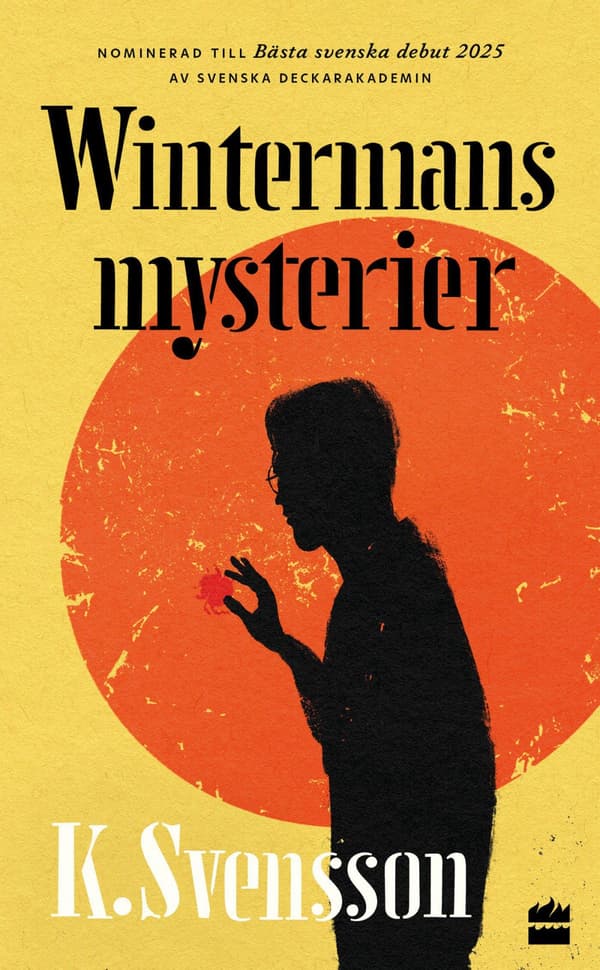 Wintermans Mysterier (Bok / Pocket)