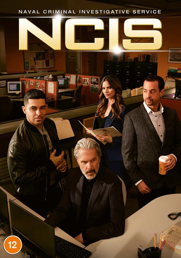NCIS: Kausi 22 (5 DVD)