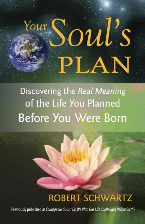 Your Souls Plan (Bok / Häftad)