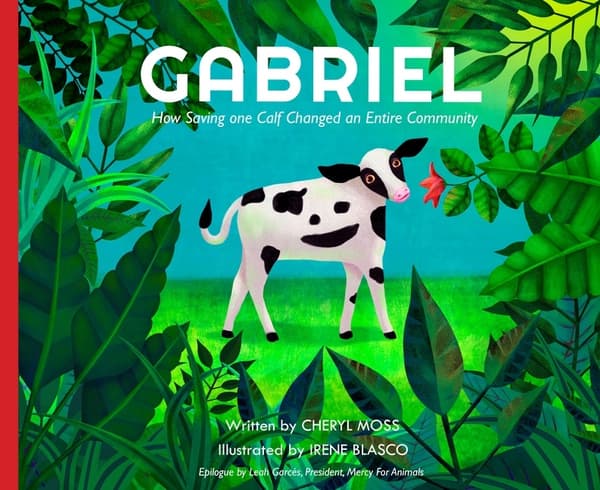 Gabriel (Kirja / Sidottu)