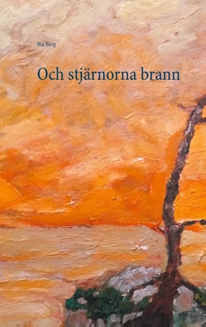 Och Stjärnorna Brann (Bok / Häftad)
