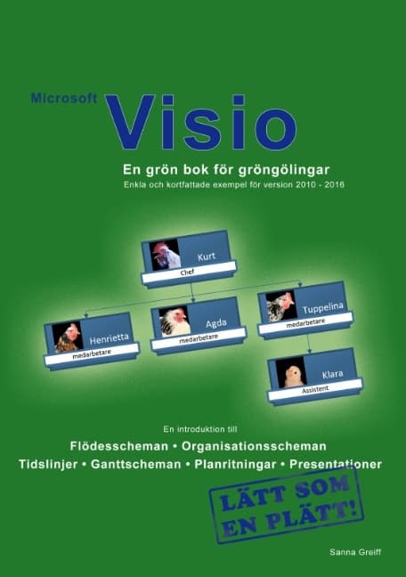 Microsoft Visio - En Grön Bok För Gröngölingar (Bok / Häftad)