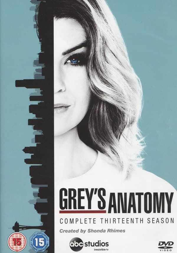 Greyn anatomia / Kausi 13 (6 DVD)