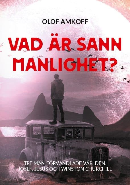 Vad Är Sann Manlighet? (Bok / Häftad)