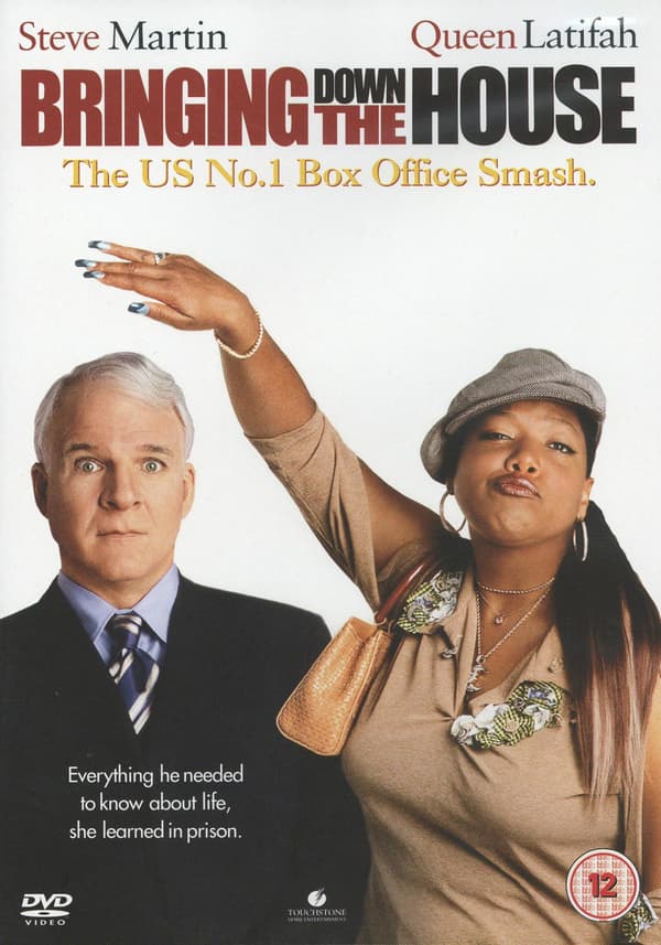 Bringing Down the House (DVD)
