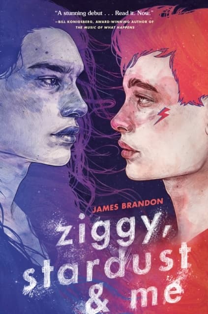 Ziggy, Stardust and Me (Bok / Häftad)
