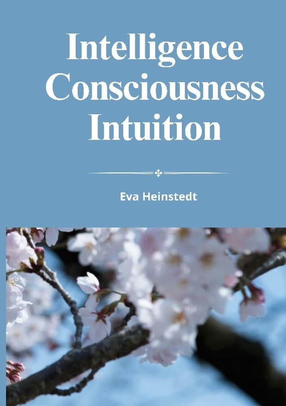 Intelligence Consciousness Intuition (Bok / Häftad)