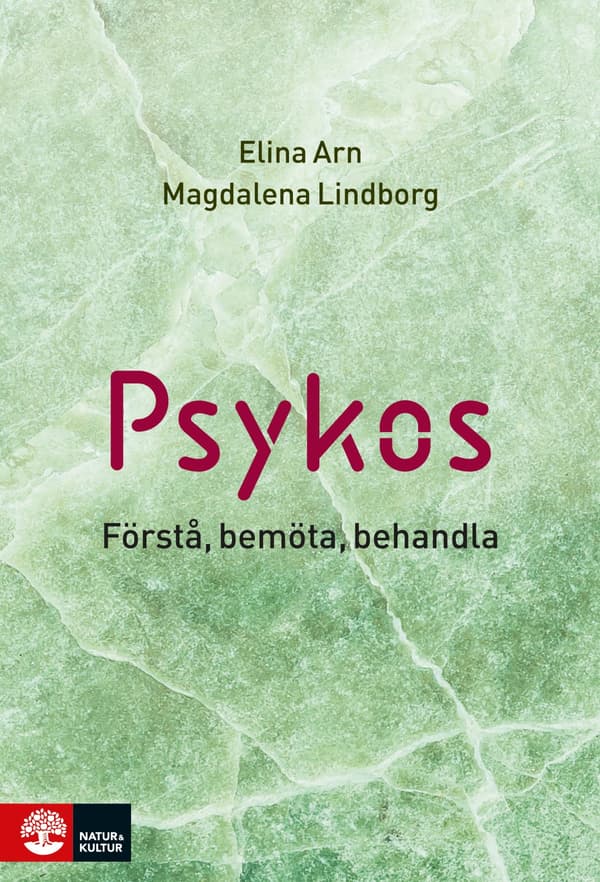 Psykos - Förstå, Bemöta, Behandla (Bok / Inbunden)
