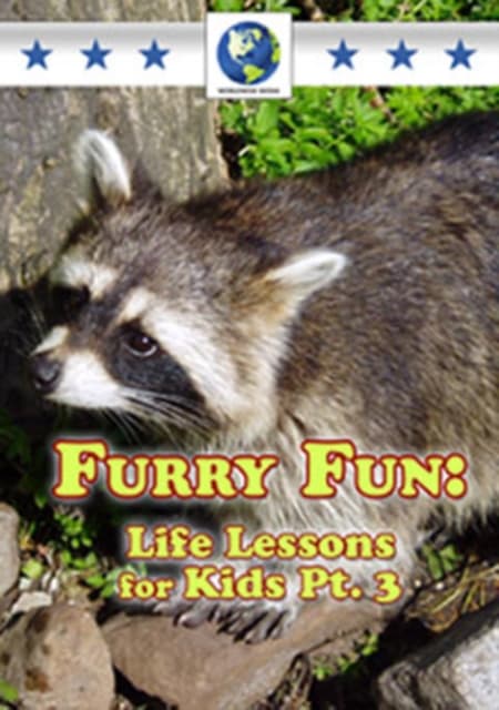 Furry Fun - Life Lessons for Kids: Part 3 (DVD)
