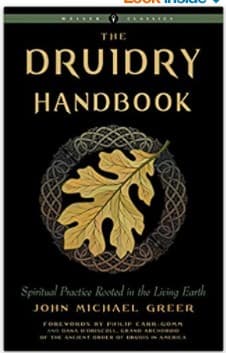Druidry Handbook (Kirja / Nidottu)