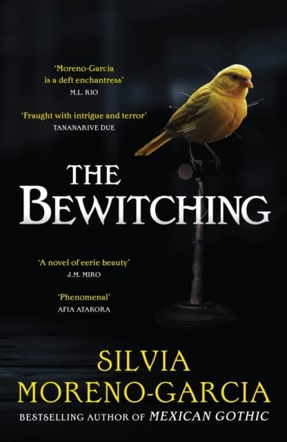 The Bewitching (Kirja / Pokkari)