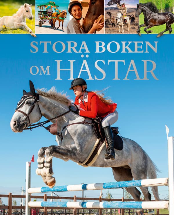 Suuri hevoskirja (kirja / sidottu)