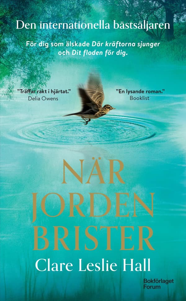 När Jorden Brister (Bok / Pocket)