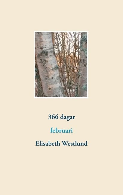 366 Dagar - Februari (Bok / Häftad)