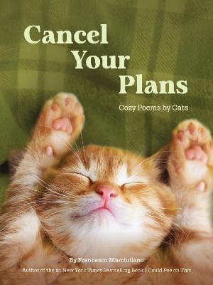 Cancel Your Plans (Bok / Inbunden)