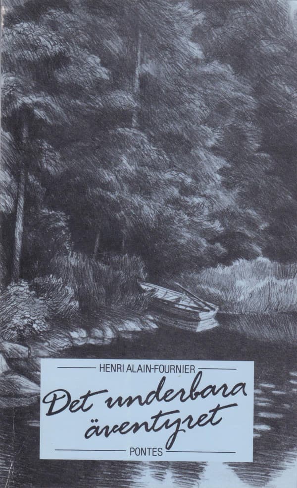 Det Underbara Äventyret (Bok / Häftad)