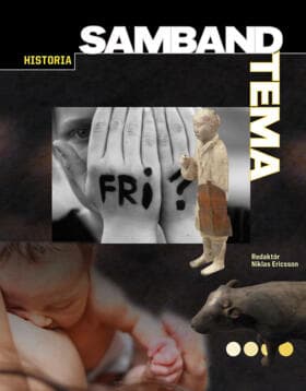 Samband Historia Tema (Bok / Häftad)