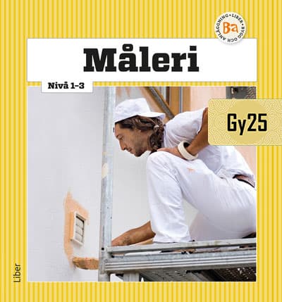 Maalaus Taso 1-3 (Kirja / Nidottu)
