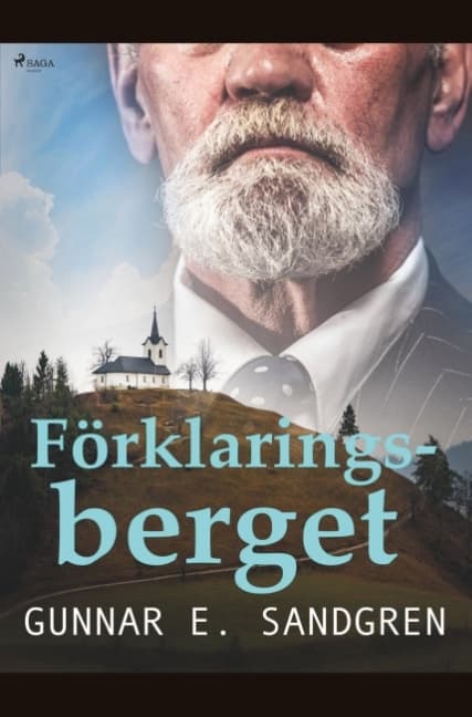Förklaringsberget (Kirja / Nidottu)