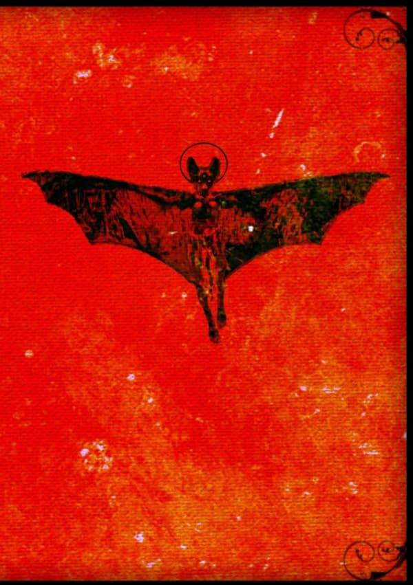 Eremonaut Ii (Bok / Häftad)