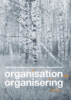 Organisation Och Organisering (Bok / Häftad)
