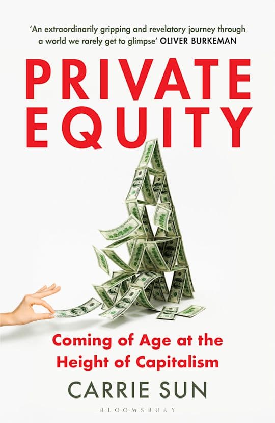 Private Equity (Bok / Pocket)
