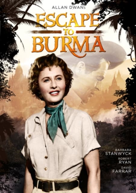Pako Burmasta (DVD)