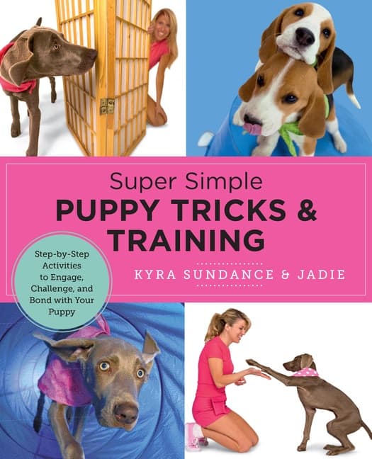 Super Simple Puppy Tricks and Training (Bok / Häftad)