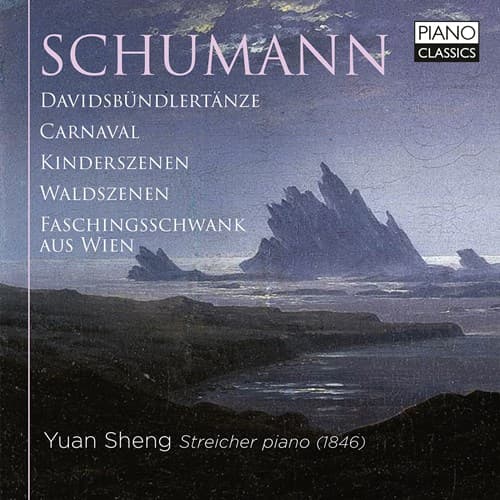 Schumann: Pianomusiikkia (2 CD)