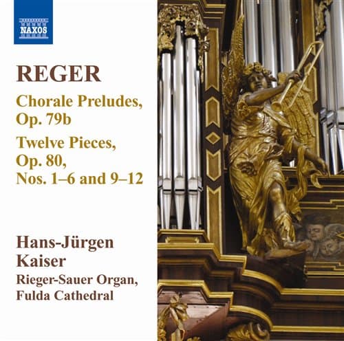Reger: Urkuteokset Vol 11 (CD)