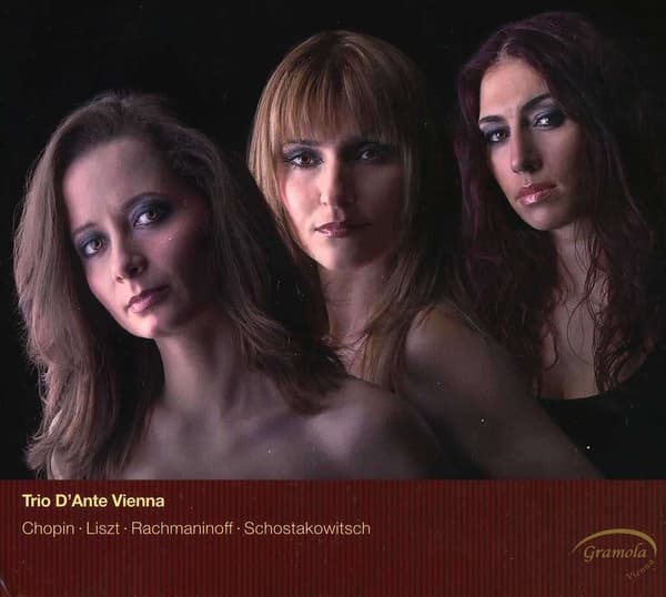 Trio D'ante Vienna: Klavertrioer (2 CD)