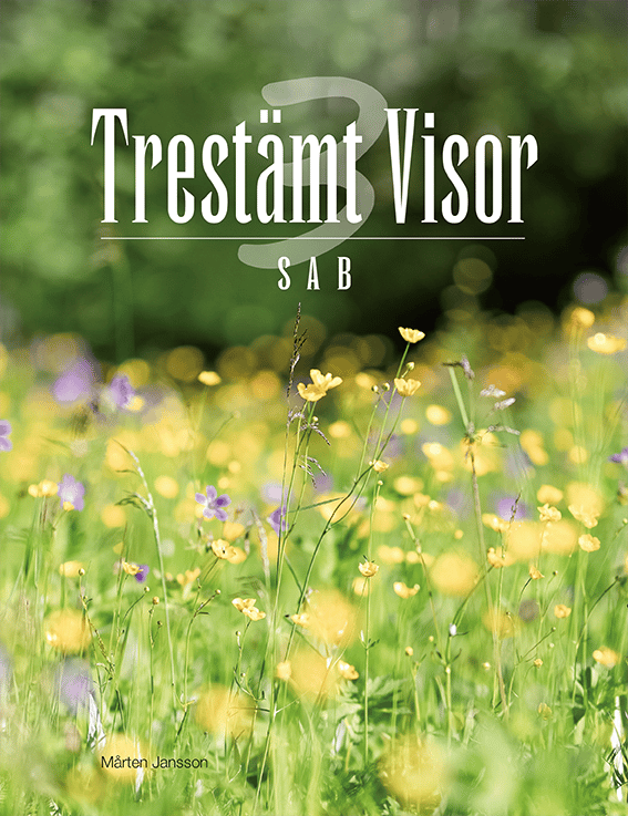 Trestämt Visor Sab (Bok / Häftad)