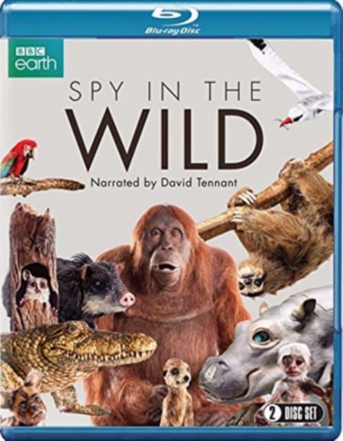 Spy in the Wild (2 Blu-ray)