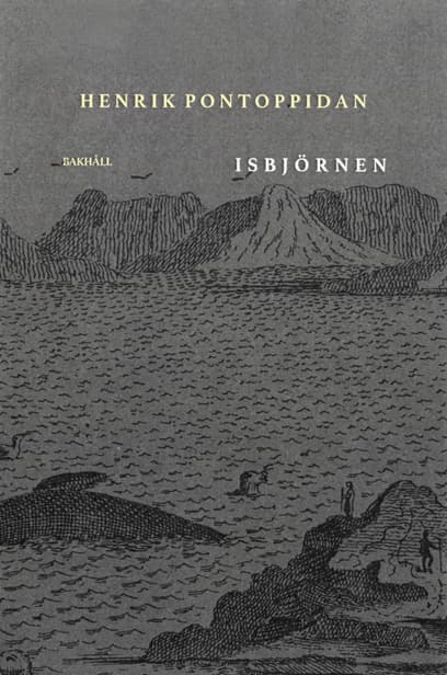 Jääkarhu (Kirja)