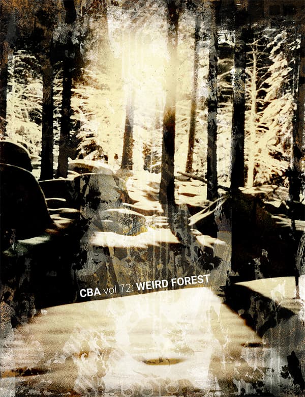 Cba Vol 72 - Weird Forest (Kirja / Nidottu)